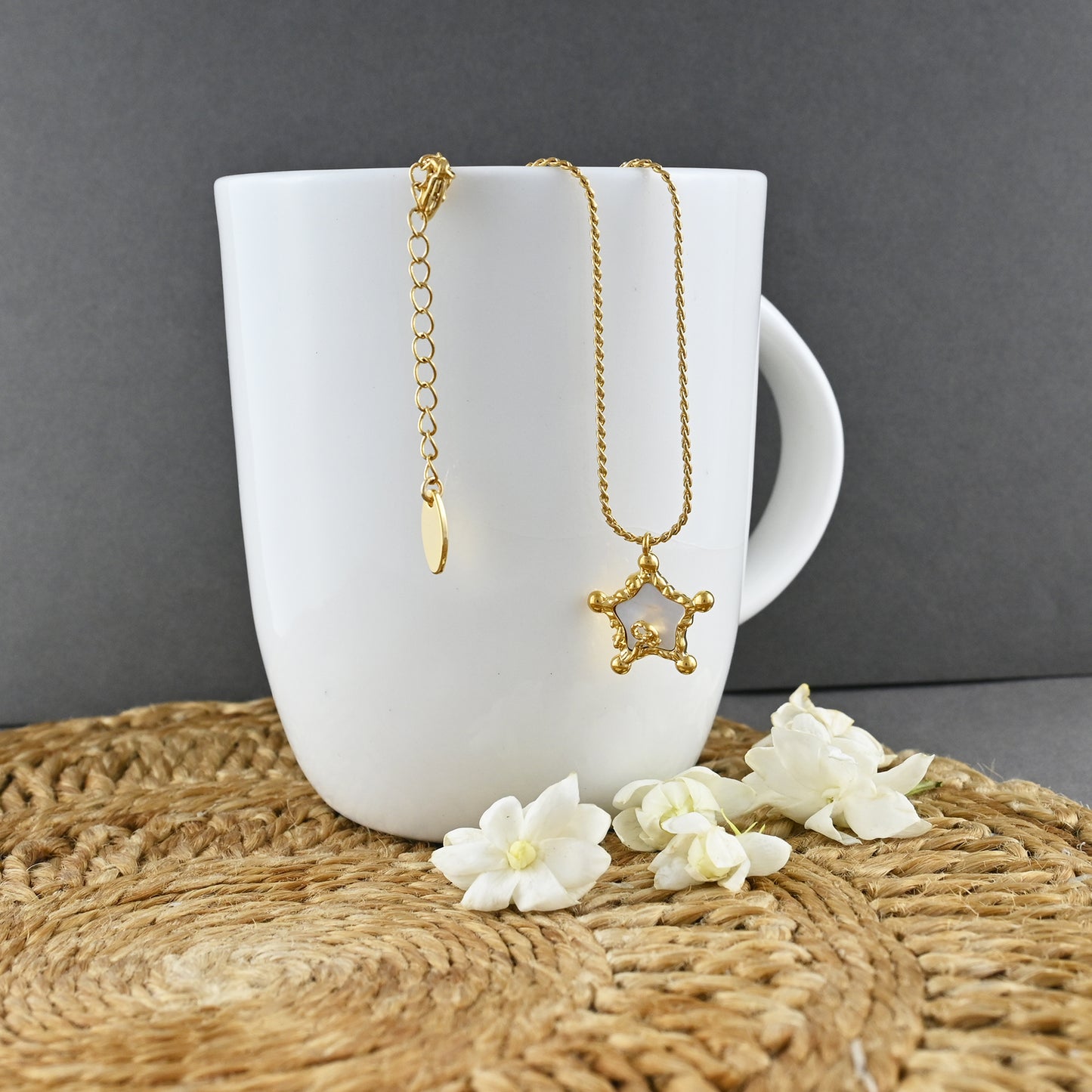 Glided Star Necklace