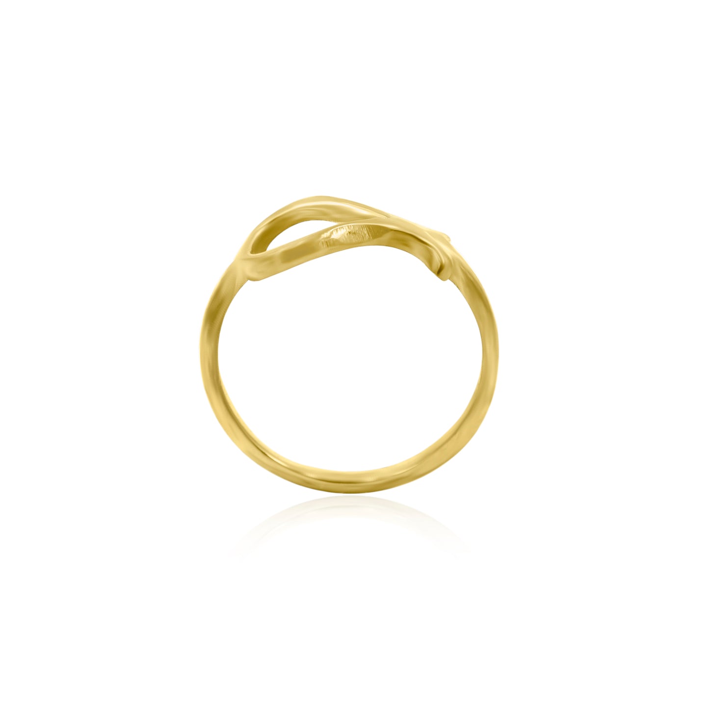 Fish In Pond Abstract Ring