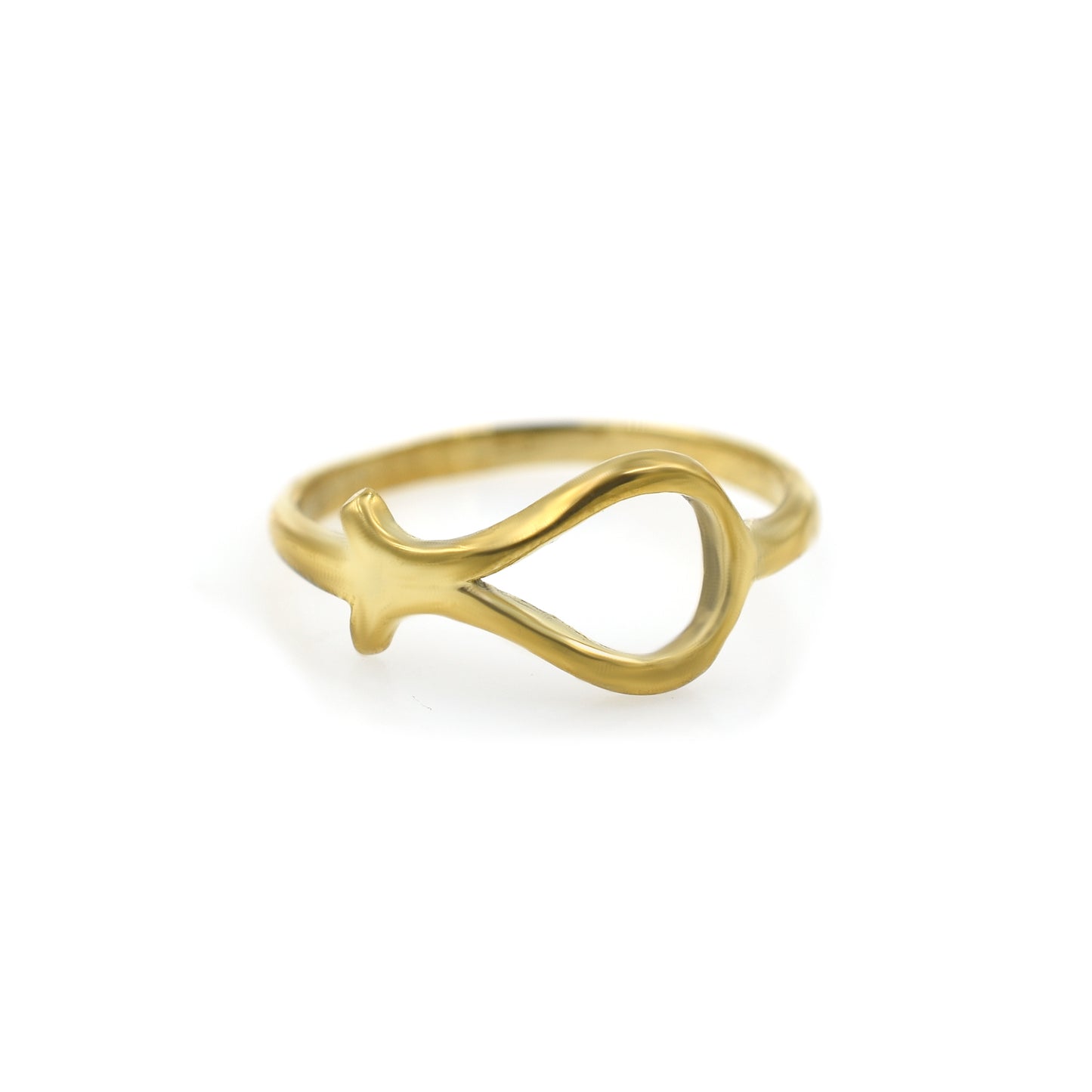 Fish In Pond Abstract Ring