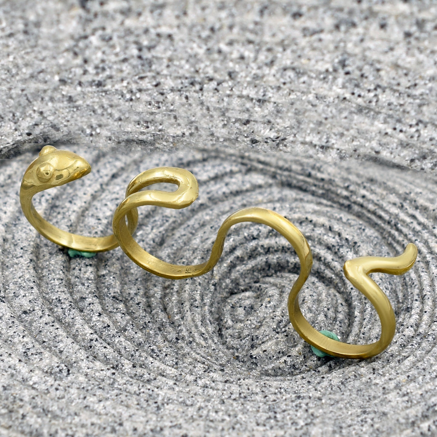 Crawling Snake On Ground Ring