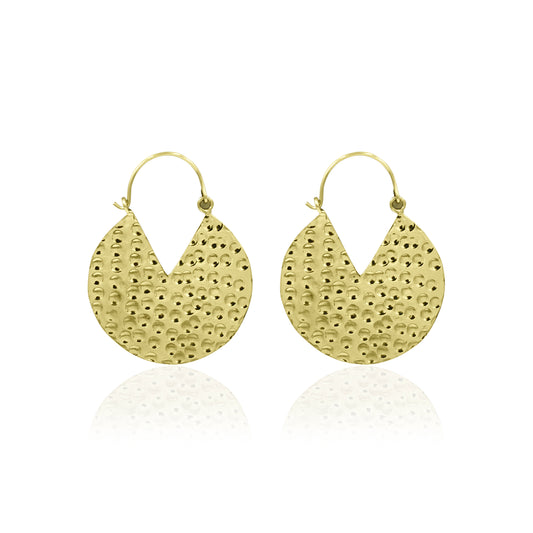 Hammered Gold Disc Hoop Earrings