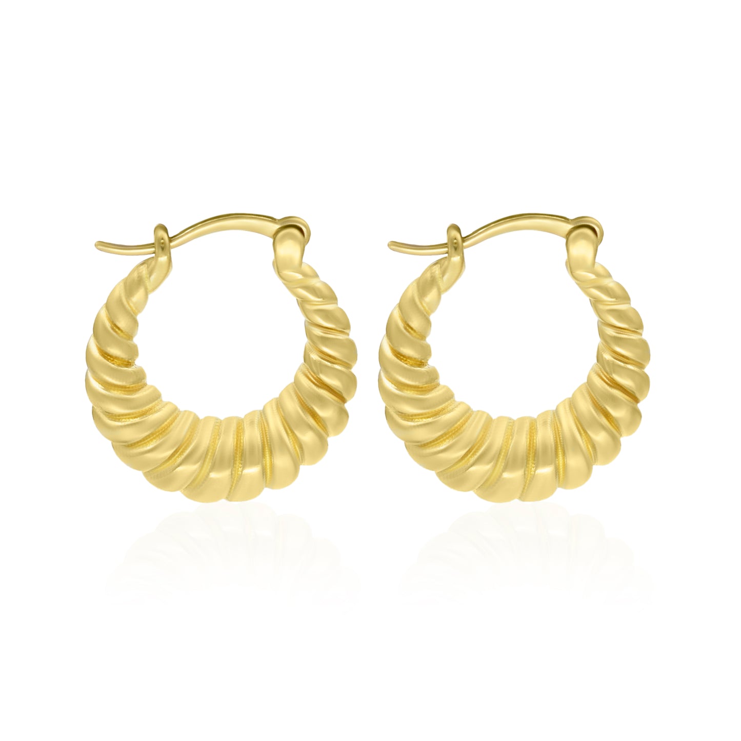 Twist In The Rope  Hoop Earrings