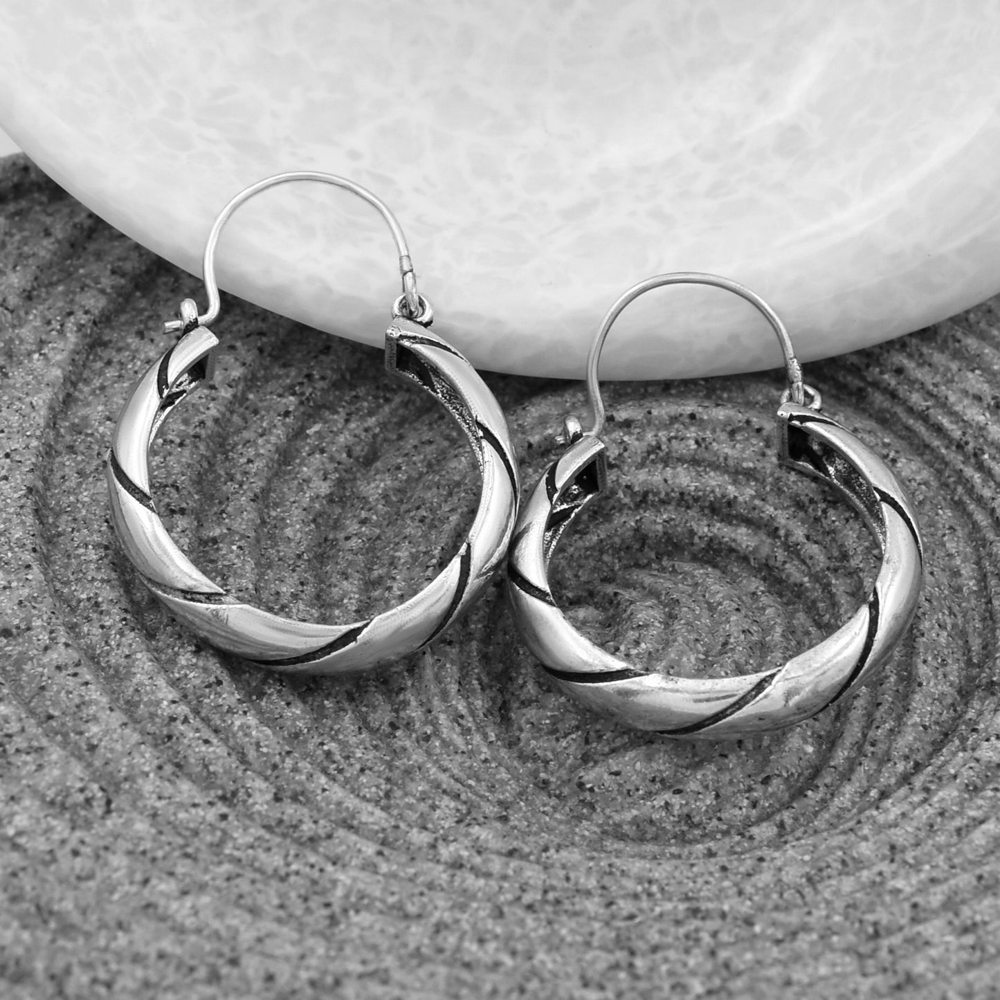 Hoping Ring Hoop Earrings