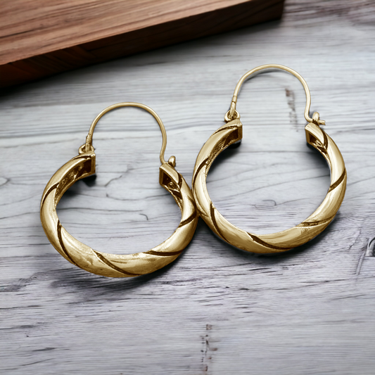 Hoping Ring Hoop Earrings