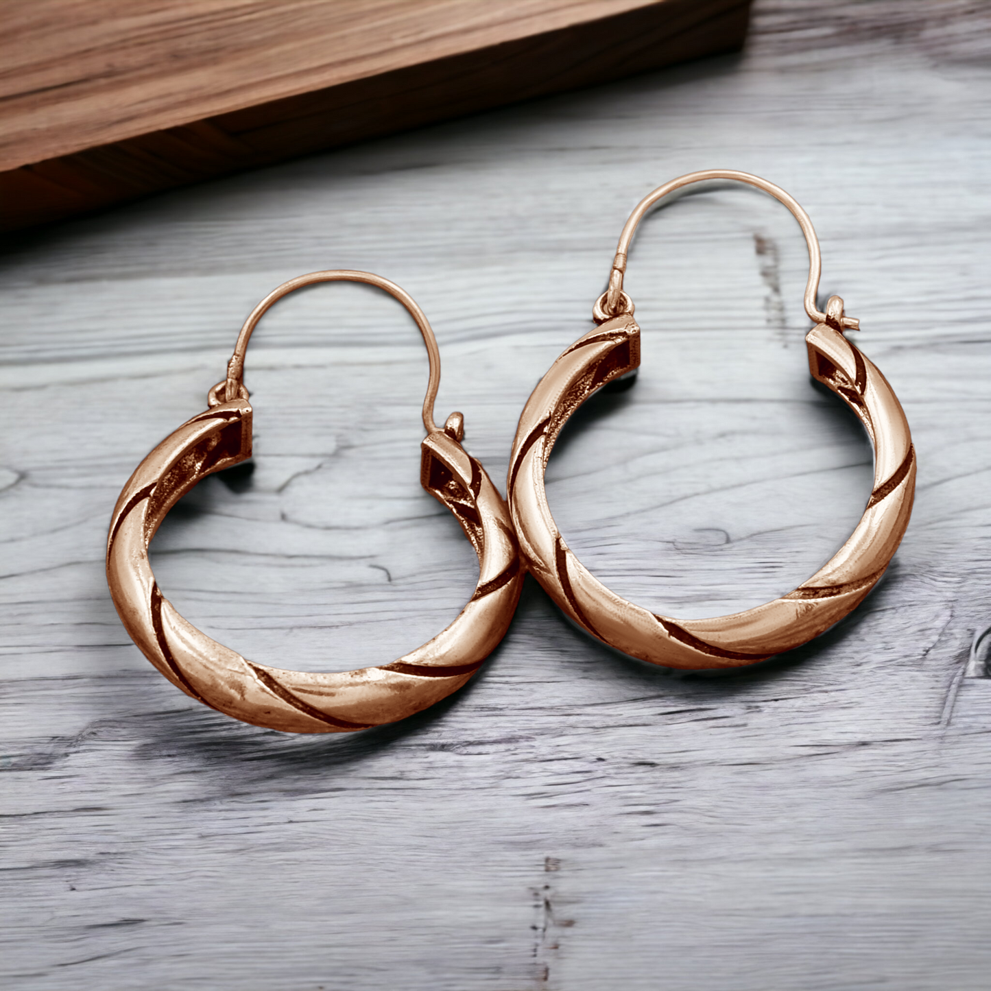 Hoping Ring Hoop Earrings