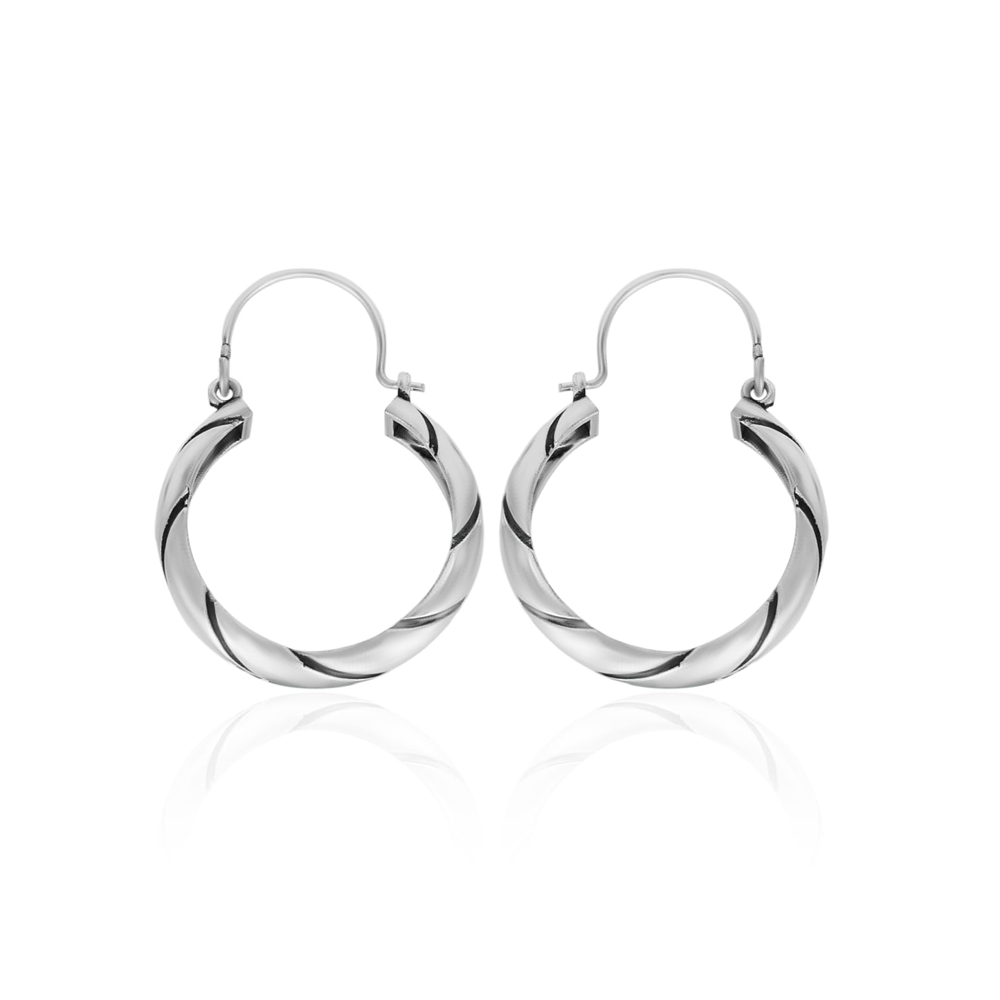 Hoping Ring Hoop Earrings