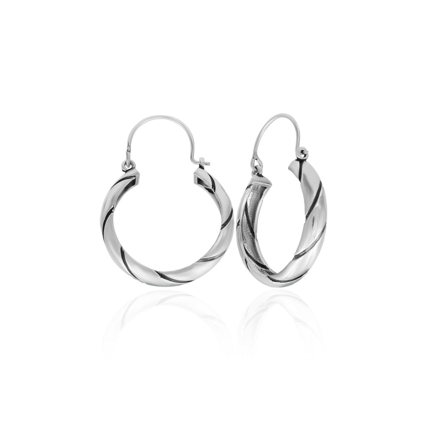 Hoping Ring Hoop Earrings