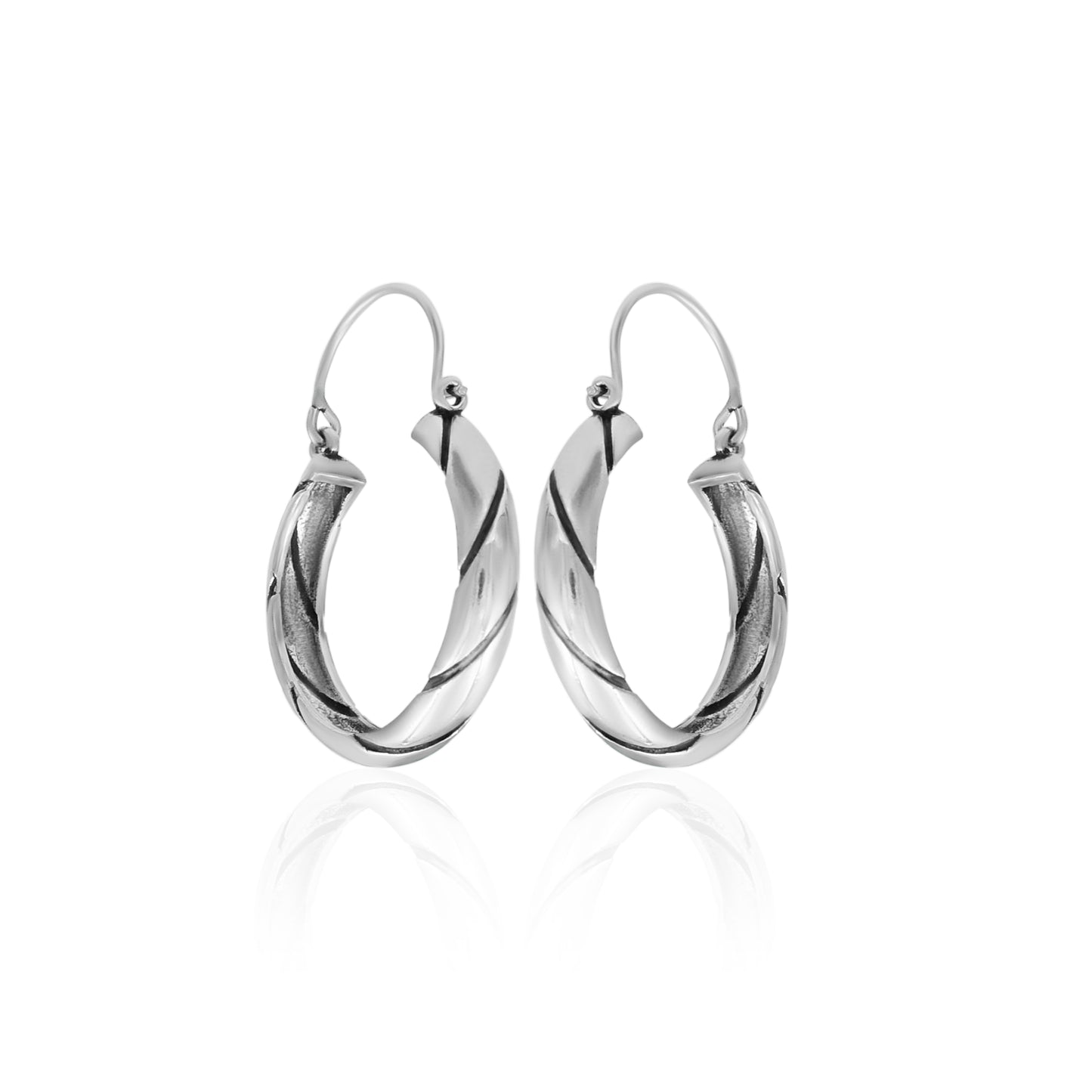 Hoping Ring Hoop Earrings