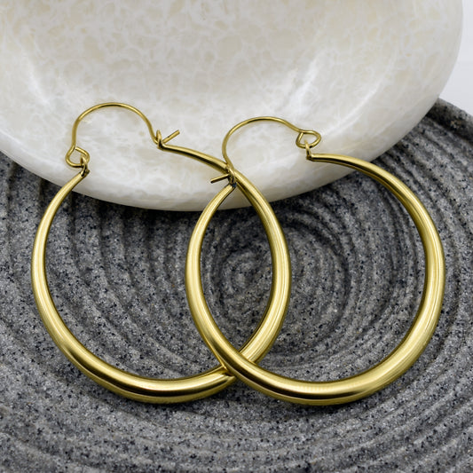 Everyday Wear Hoop Earrings