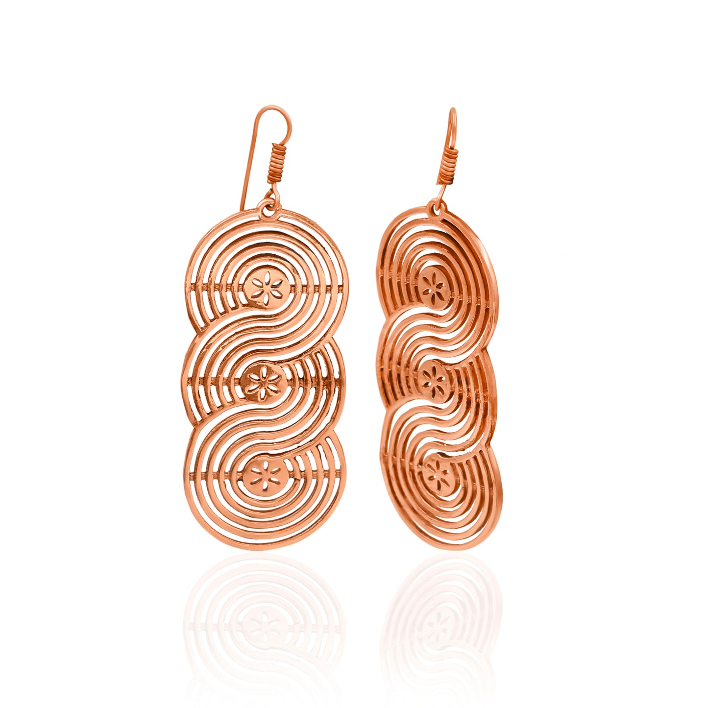 Reflection Of Love Hook Earrings