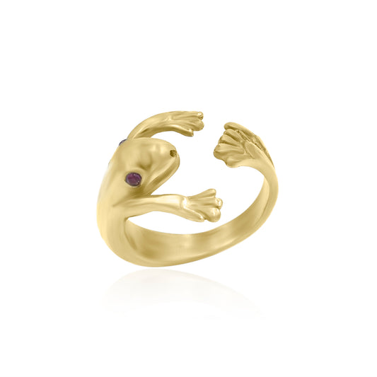 Hopping Frog In Sky Ring