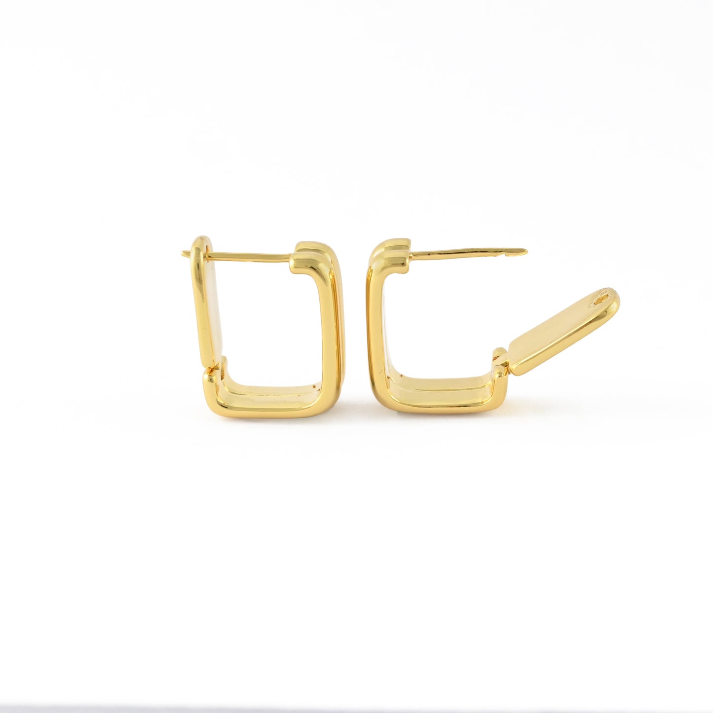 Gleaming Vine Hoops Earrings
