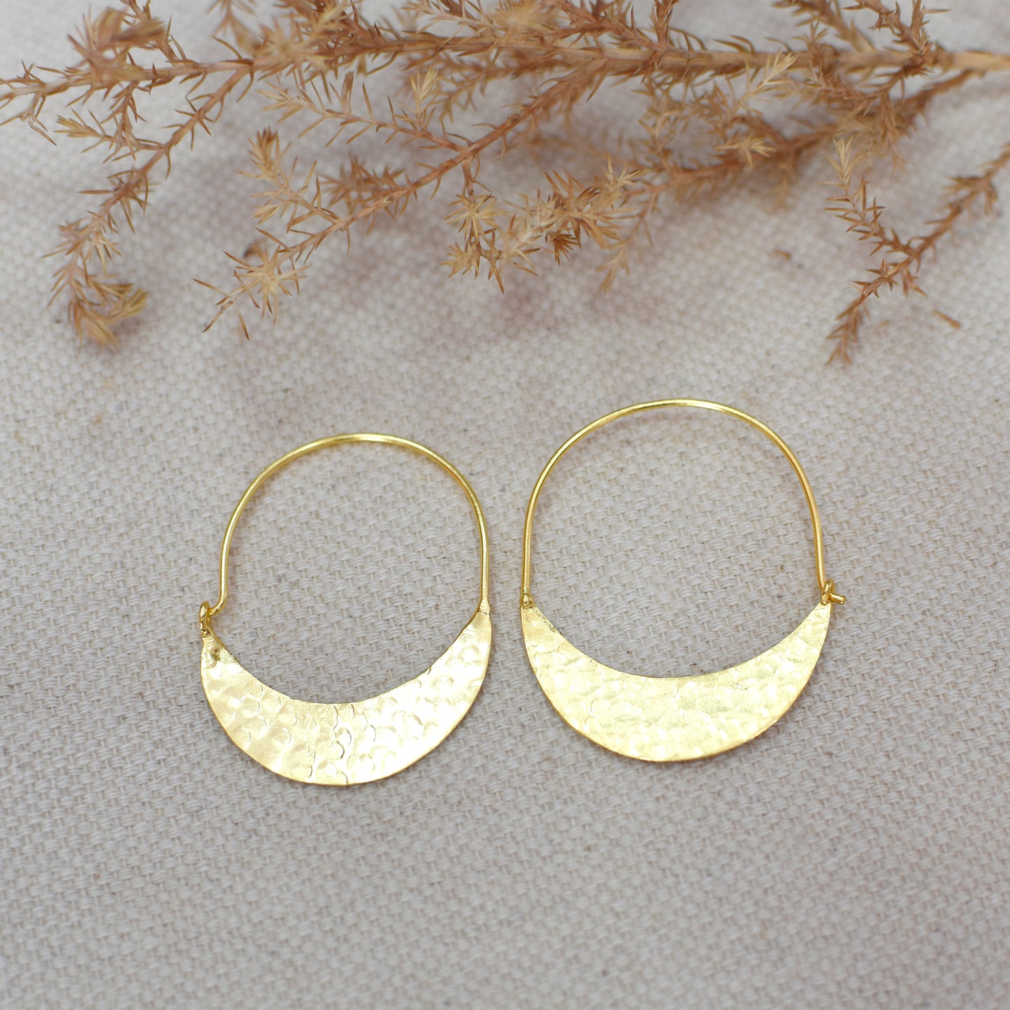 Golden Plate Hoop Earrings