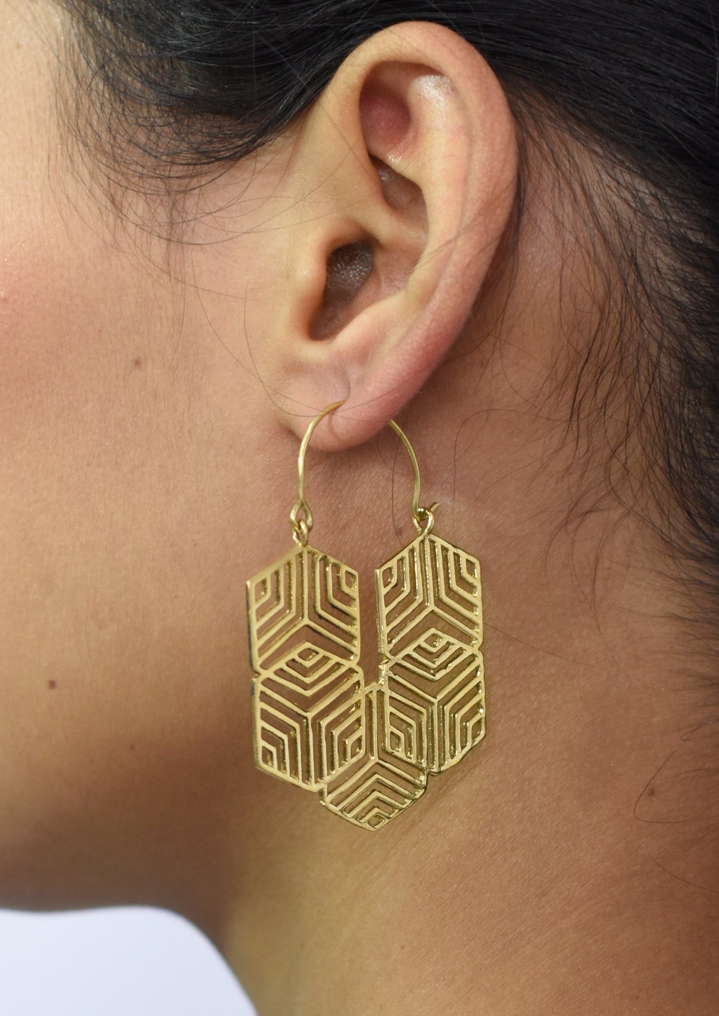 Coming Together Hexagon Hoop Earrings