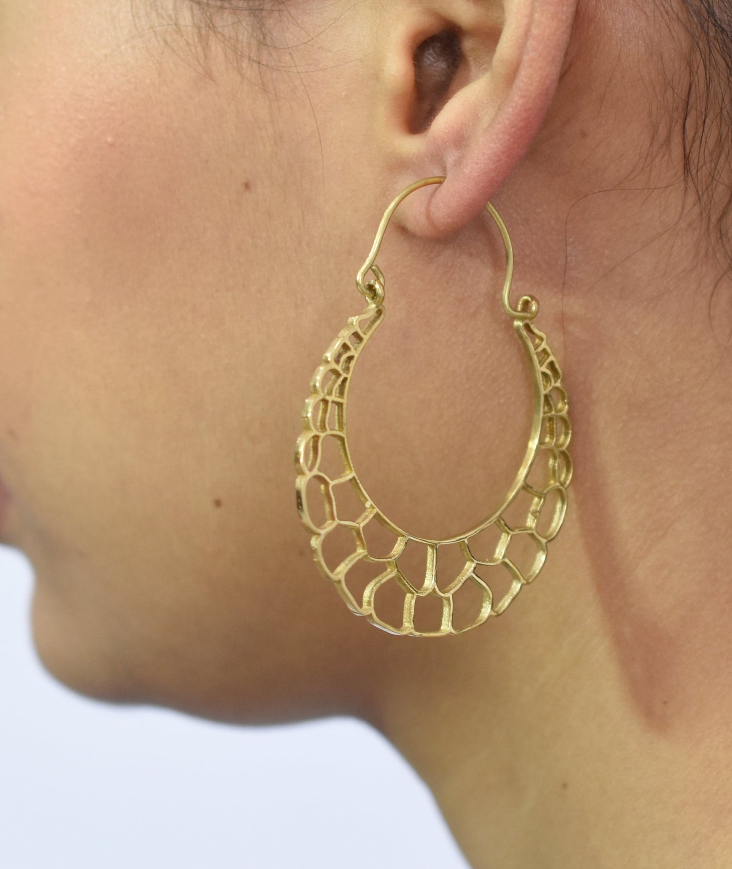 Empty Honeycomb Hoop Earrings