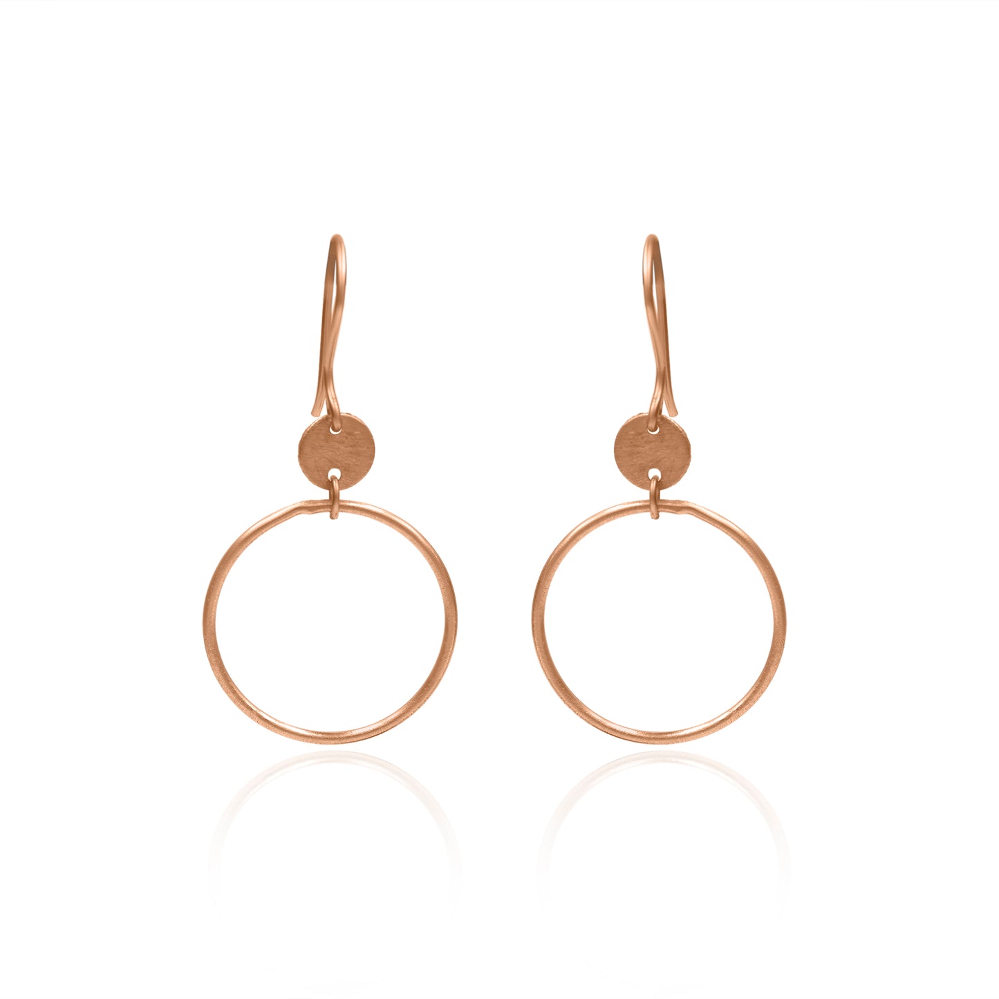 Tiny To Large Circle Hook Earrings