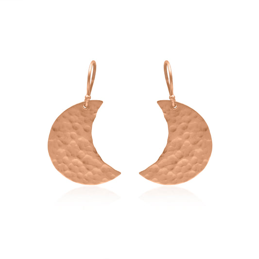 Crescent Moon Fall Hook Earrings