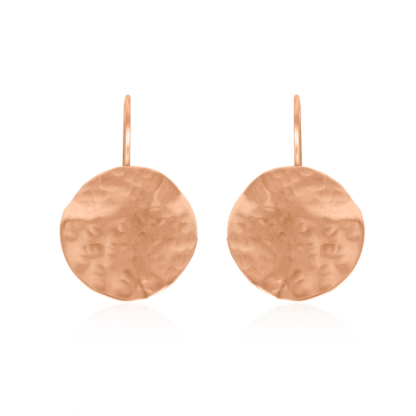 Balance The Disc Hook Earrings