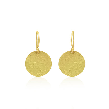 Round Disc Hook Earrings
