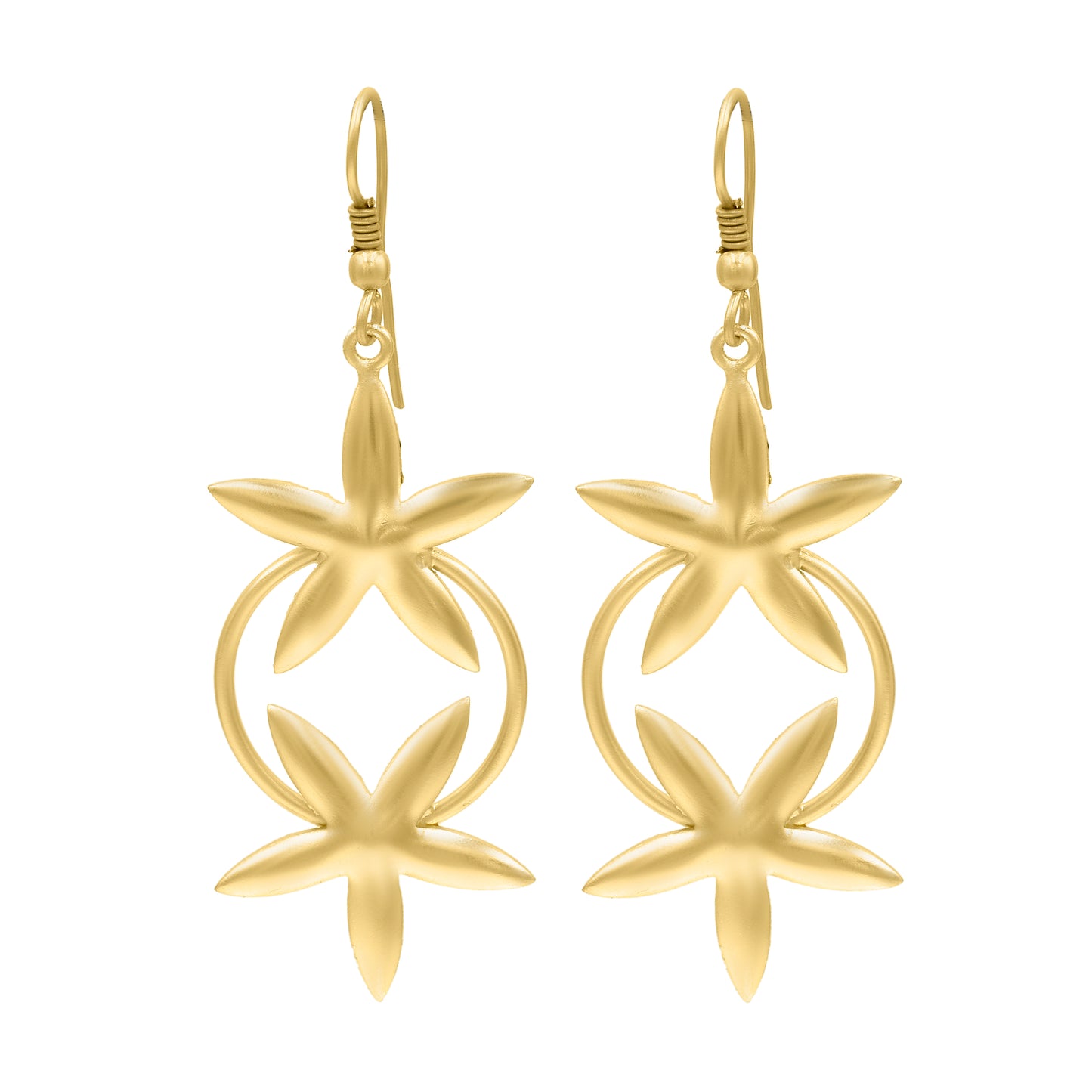 Star Twinnies Hook Earrings