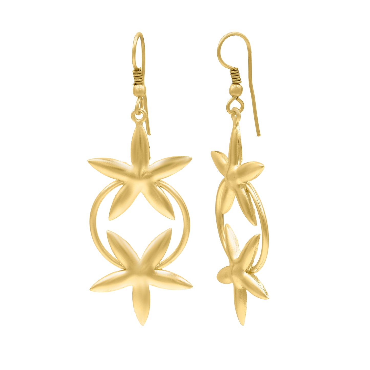 Star Twinnies Hook Earrings