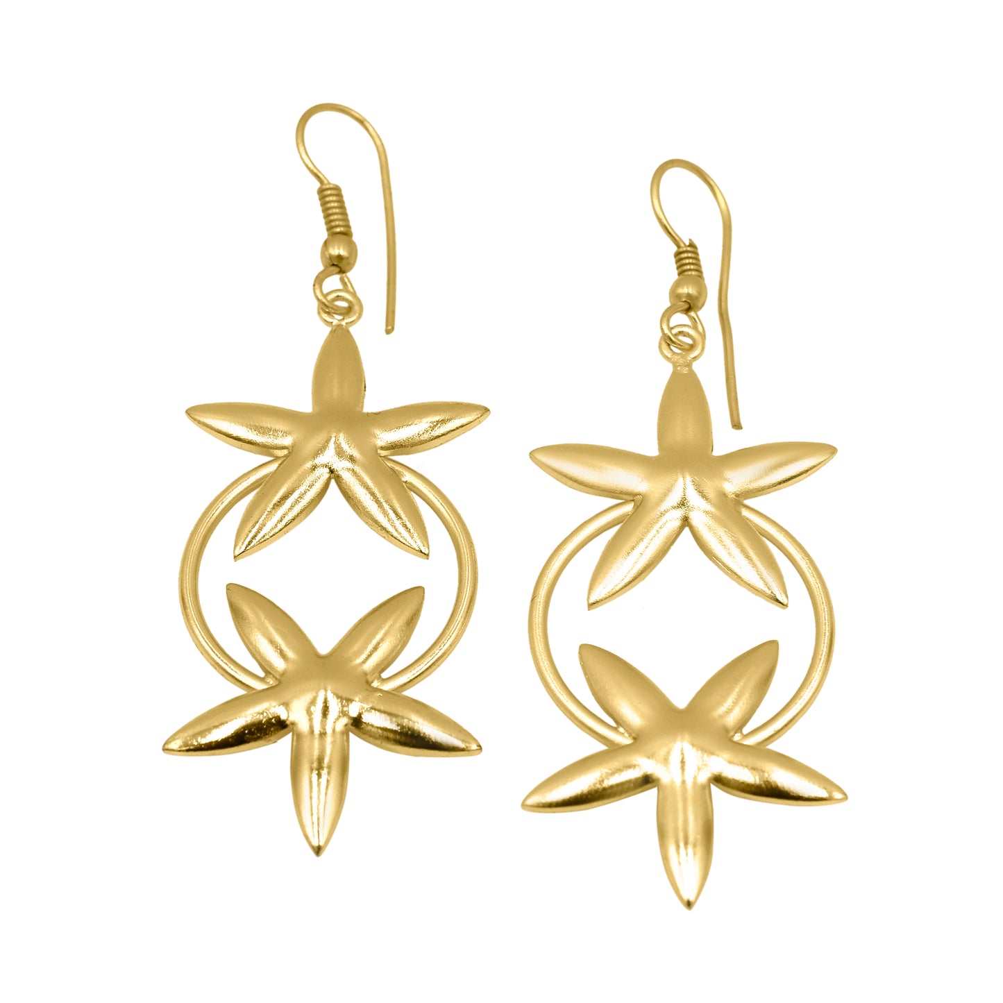 Star Twinnies Hook Earrings