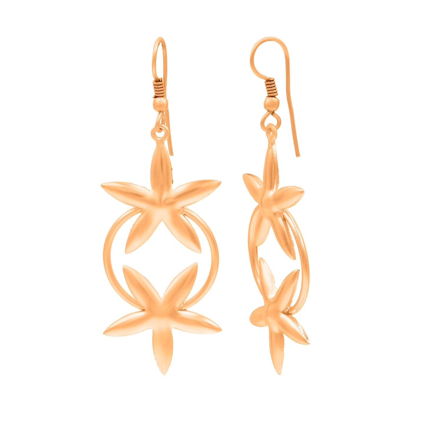 Star Twinnies Hook Earrings