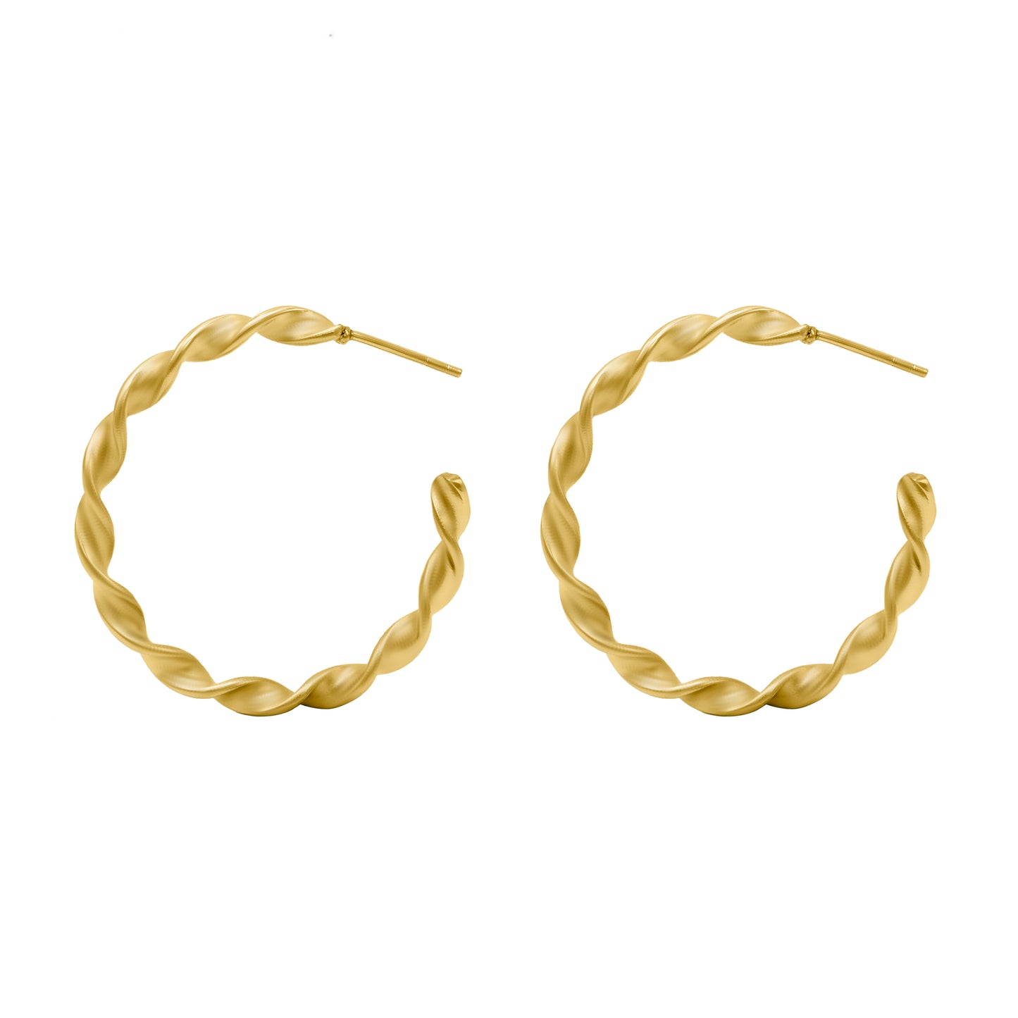 Twisted Circle Hoop Earrings