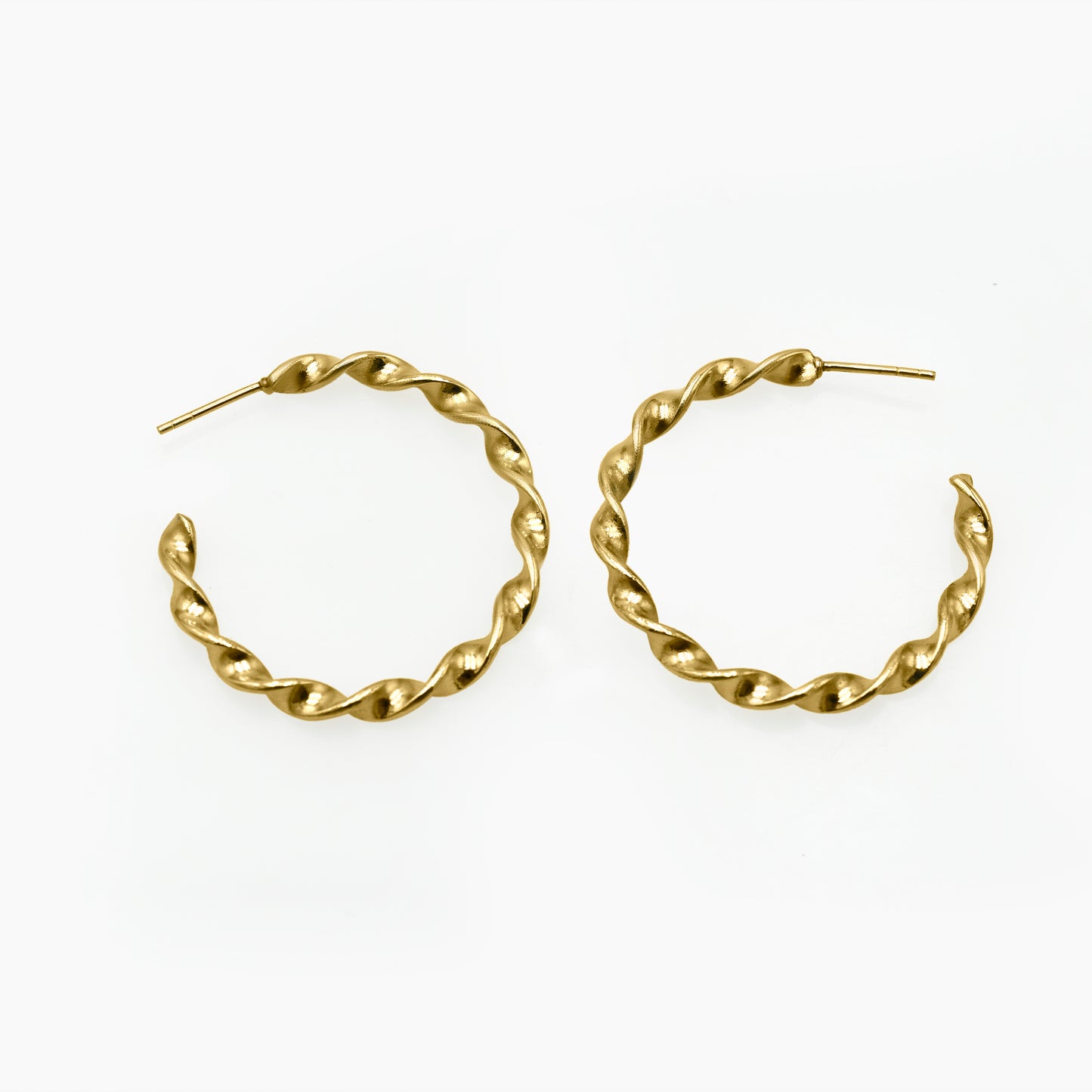 Twisted Circle Hoop Earrings